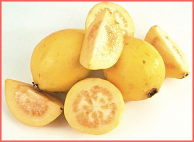 LA_cuisine_guayaba