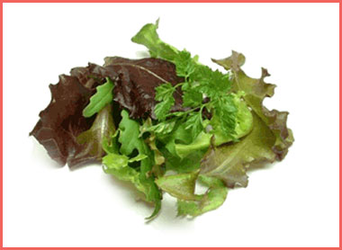 La_Cuisine_Ensalada_Mesclun