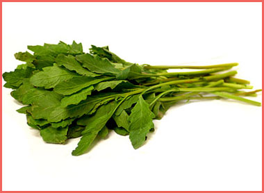 La_Cuisine_Epazote