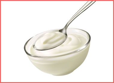 La_Cuisine_Yogurt