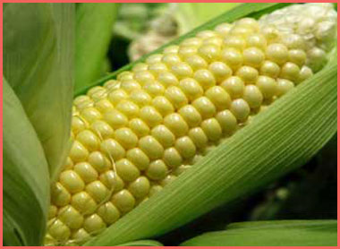 La_Cuisine_elote