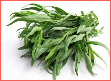 La_Cuisine_estragon