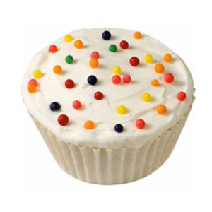 012312_CUPCAKES_NARANJA