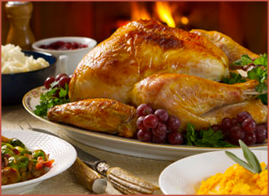 PAVO NAVIDEÑO